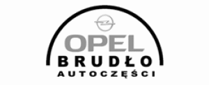 Opel Brudło Autoczęści